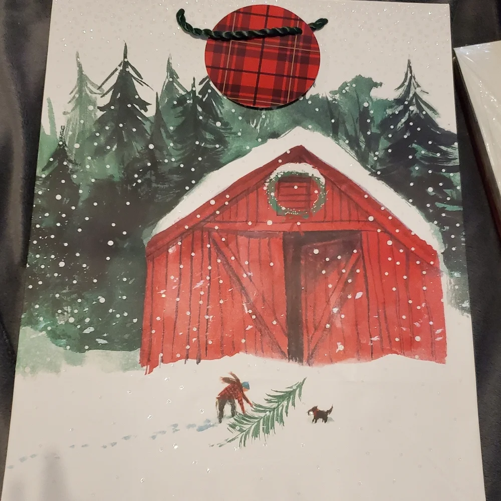 Hallmark Christmas Bags- Large 2pk